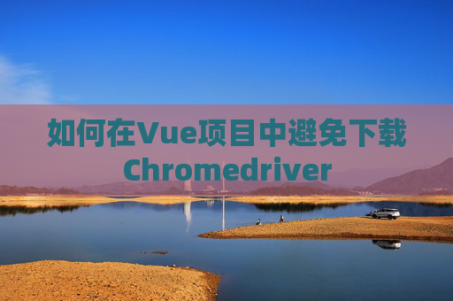 如何在Vue项目中避免下载Chromedriver