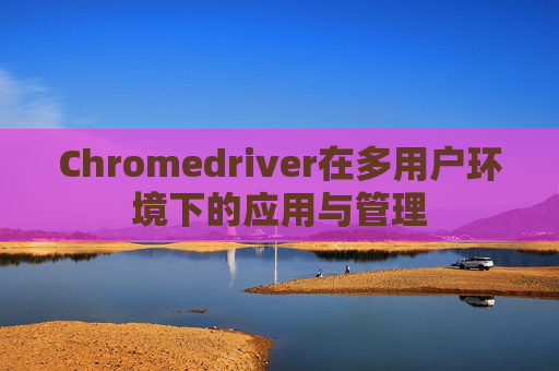 Chromedriver在多用户环境下的应用与管理