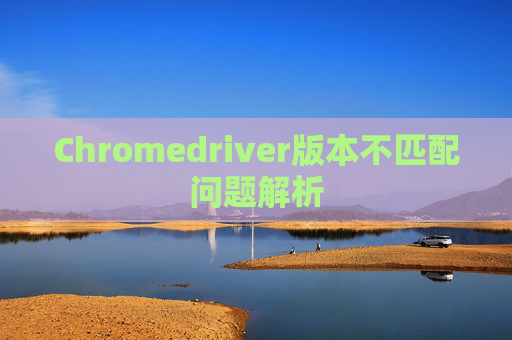 Chromedriver版本不匹配问题解析